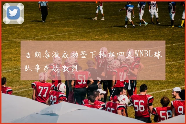 吉朗毒液成功签下韩旭四支WNBL球队争夺战激烈