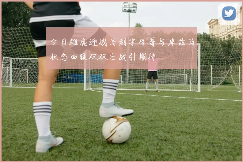 今日雄鹿迎战马刺字母哥与库兹马状态回暖双双出战引期待